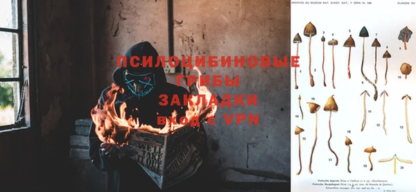 альфа пвп Горняк