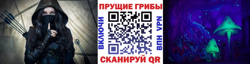 Купить  Кондопога  Галлюциногенные грибы Psilocybe 